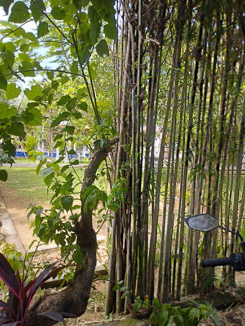 Puri Amartha Apartment Ubud  Luaran gambar