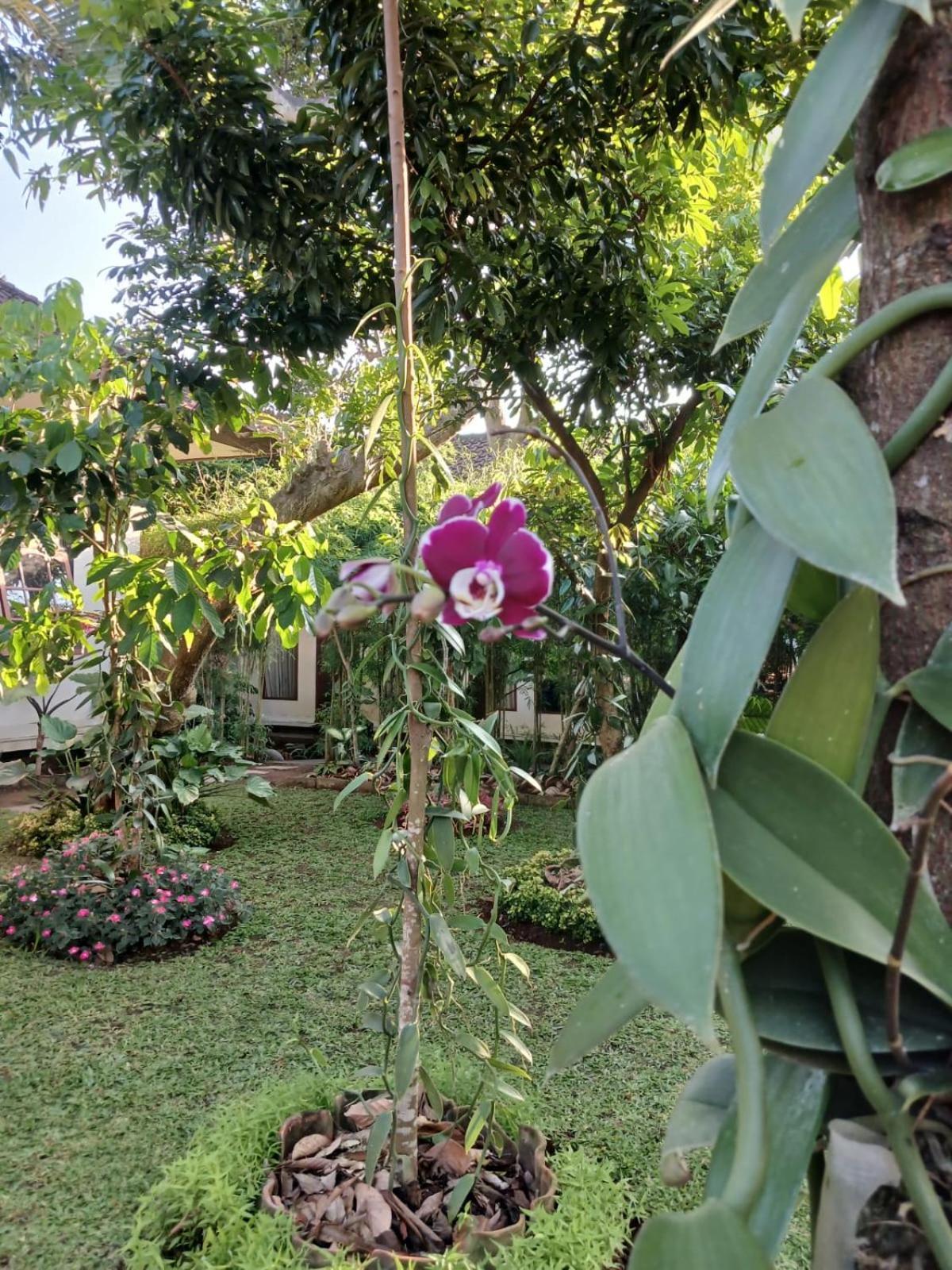 Puri Amartha Apartment Ubud  Luaran gambar