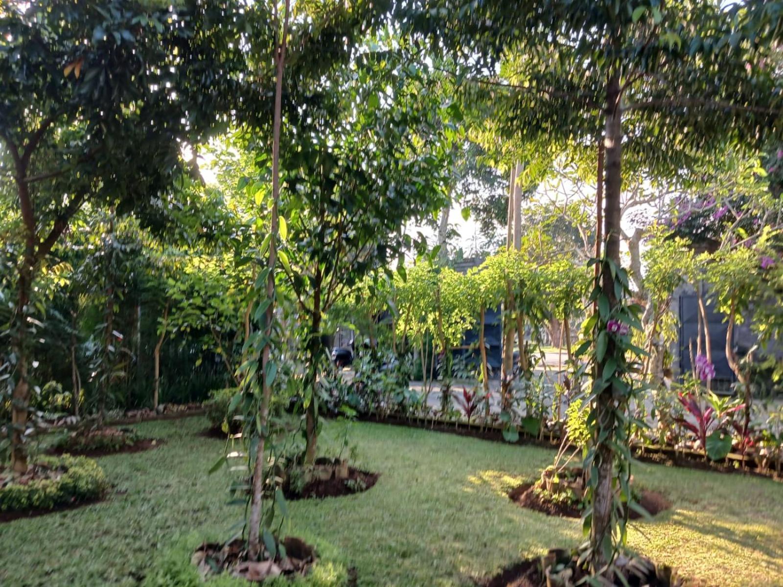 Puri Amartha Apartment Ubud  Luaran gambar
